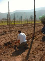 Agricoltura Biologica L'Ostal 